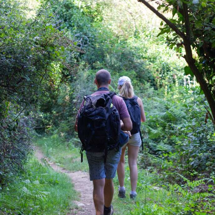 Téléthon - Randonnée pédestre