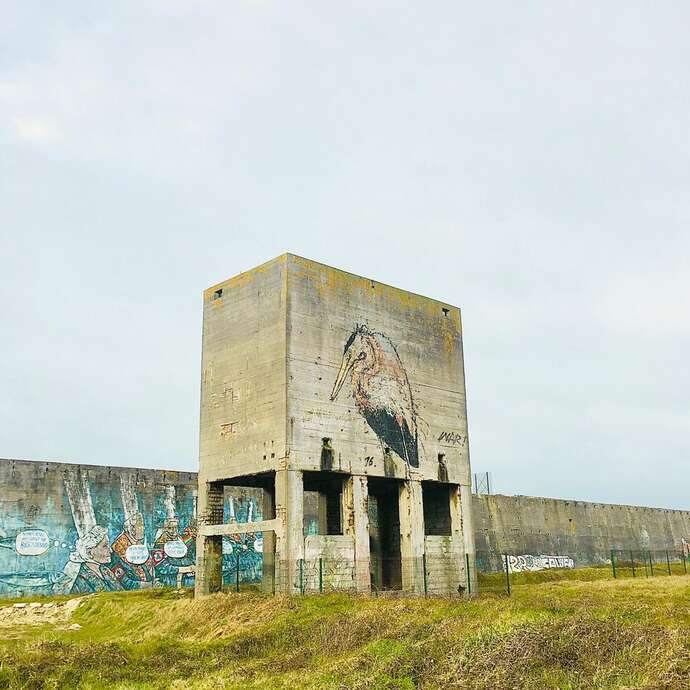 Concasseur à galets