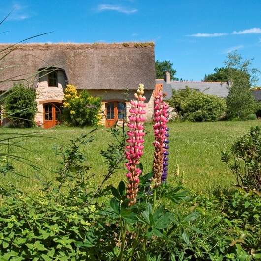 VAN DORSSEN Conrad & Tine - Sterne