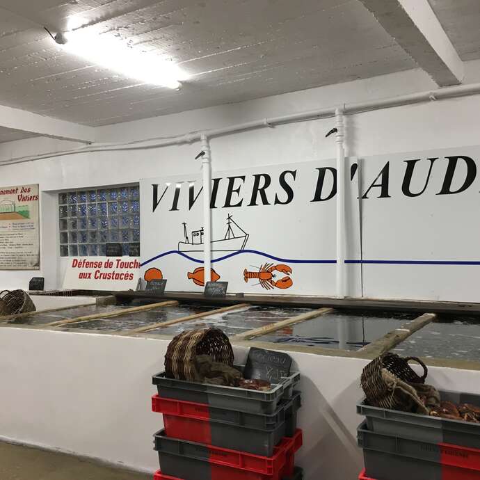 Viviers d'Audierne