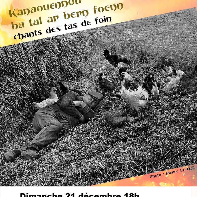 Concert Didier Dréo