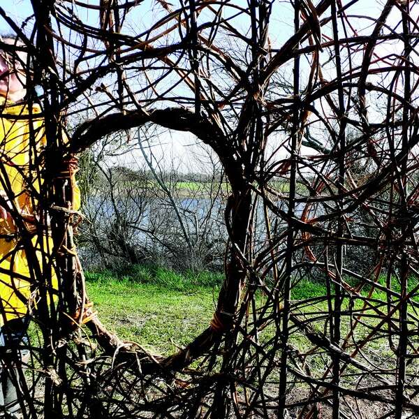 Atelier nature participatif - Tressage d'une nouvelle cabane