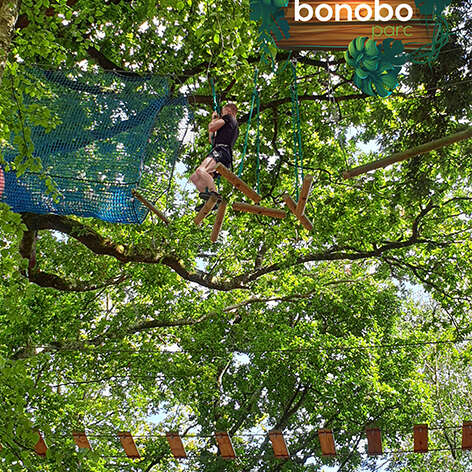 Bonobo Parc