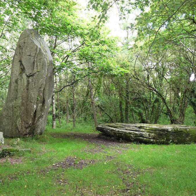 Sortie nature :  Lespurit, la nuit