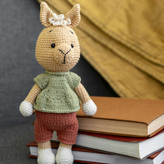 Présentation du PalLenn