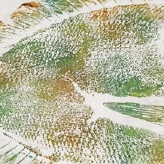 Animations au Marinarium