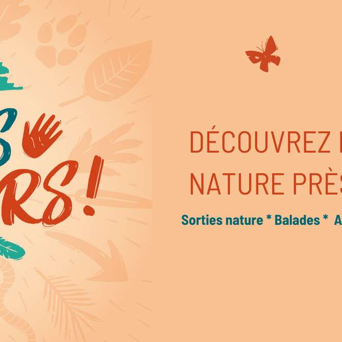 Accueillir la biodiversité au Bois du Porzou