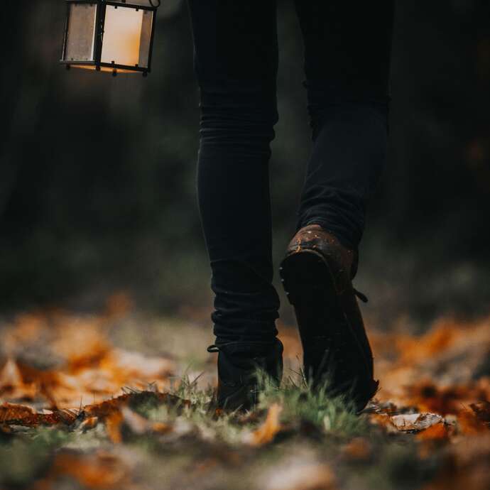 Balade nature - Au clair de lune autour de Tronoën