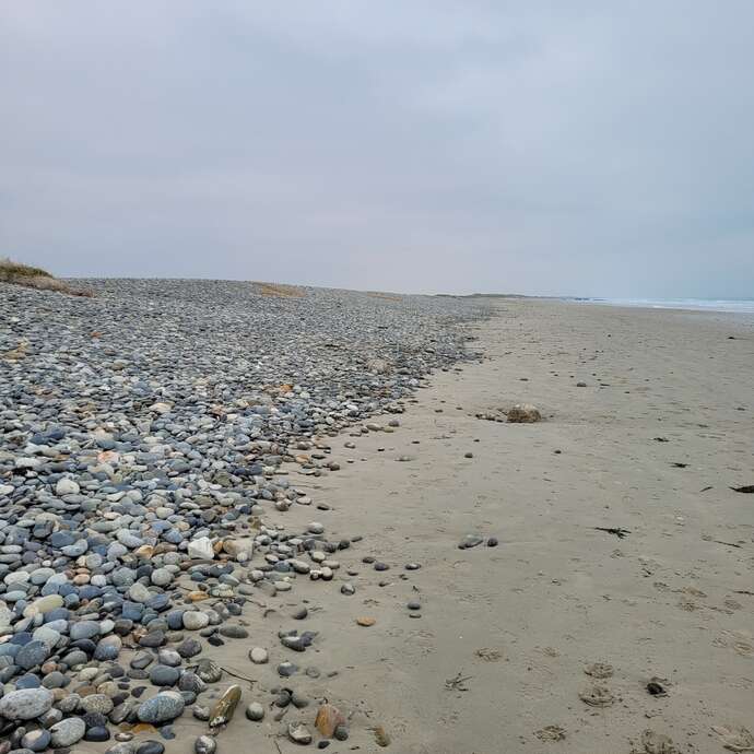 Sortie nature - Les oiseaux de Trunvel