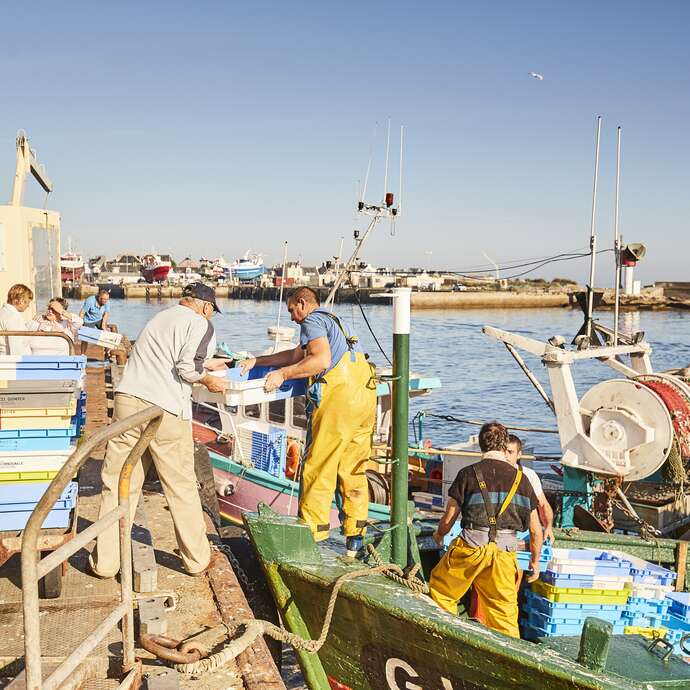 Retour de pêche côtière
