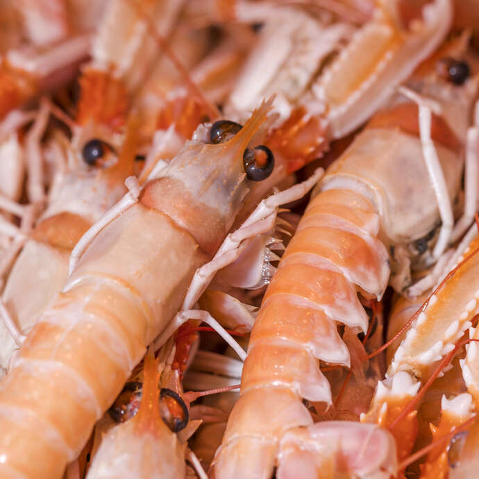 La maison de l'alimentation itinérante - Décortiquage de langoustines