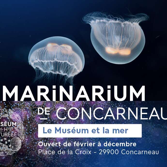 Le Marinarium