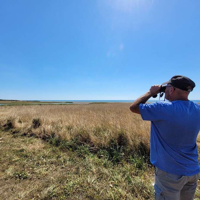 Sortie nature : Ecosystème plage