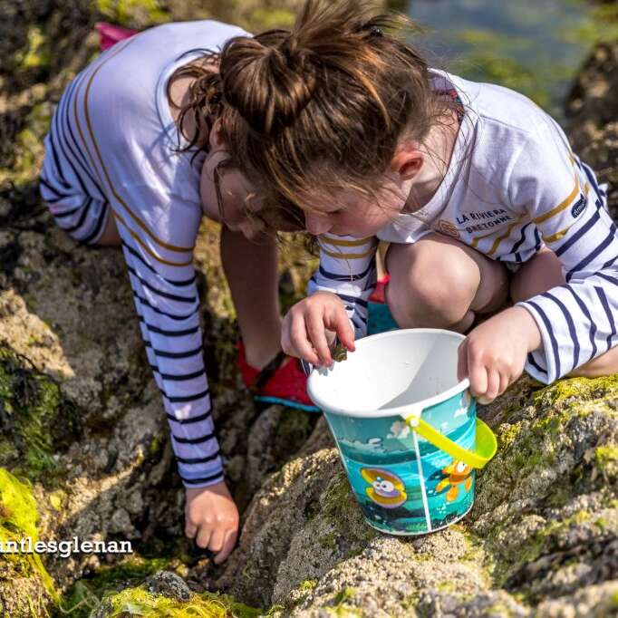 Vitamines Sea : Trésors du bord de mer (sortie guidée)