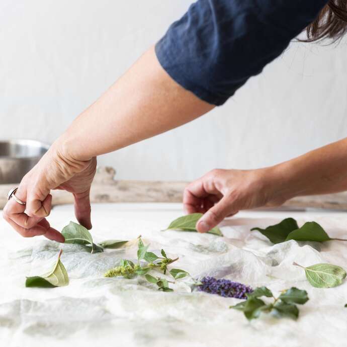 Atelier confection d’un herbier en cyanotope