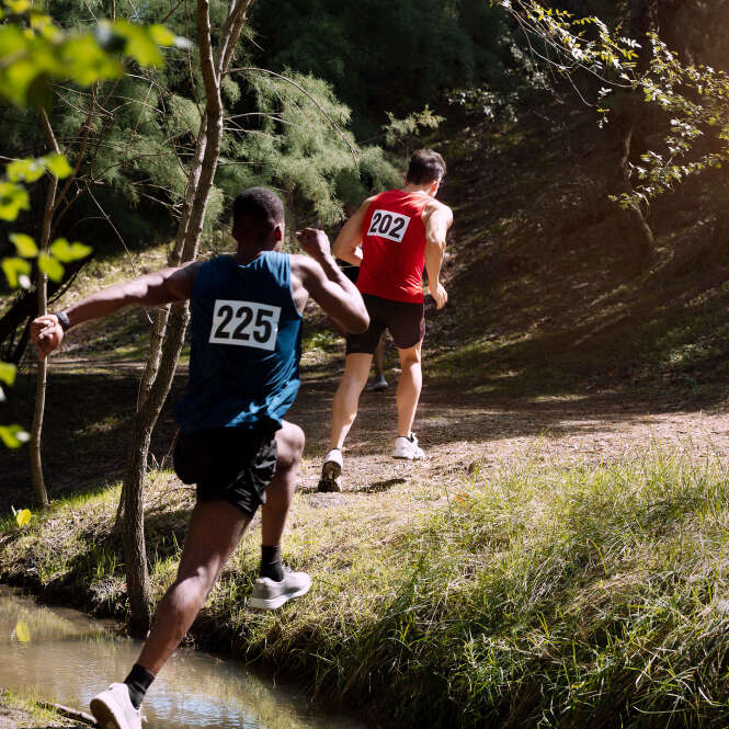 Marathon des Étoiles de la Baie
