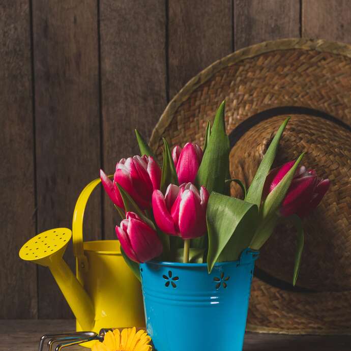 Marché aux fleurs