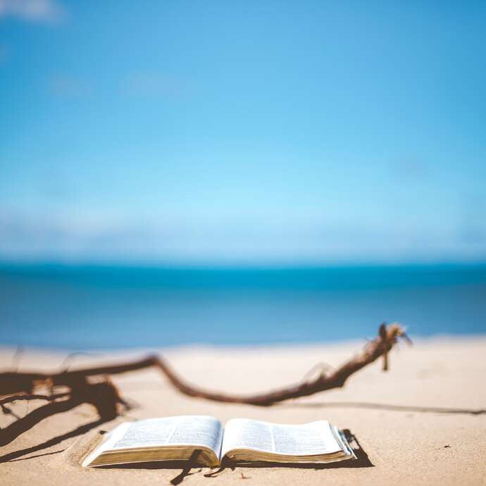 Lectures à la plage