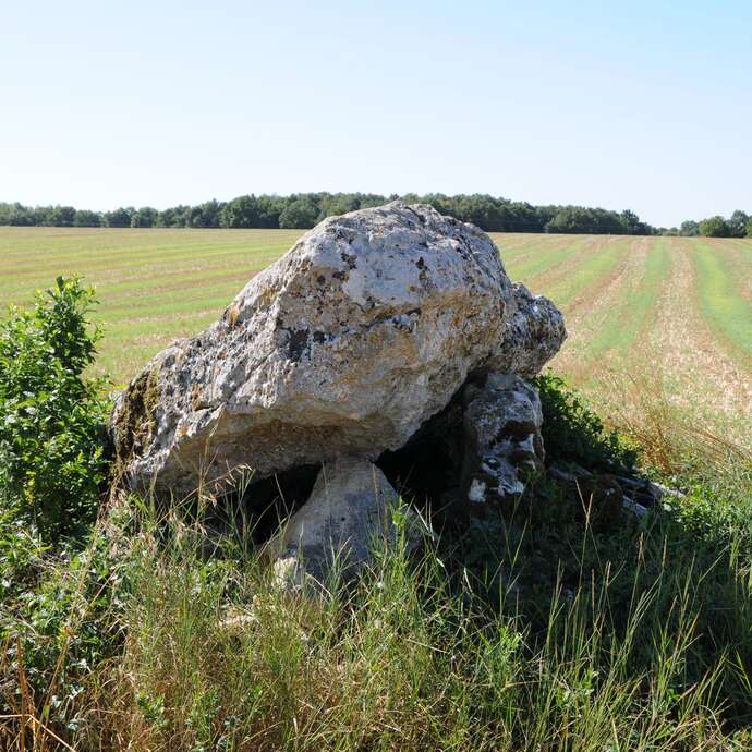 Dolmens de Villaigue
