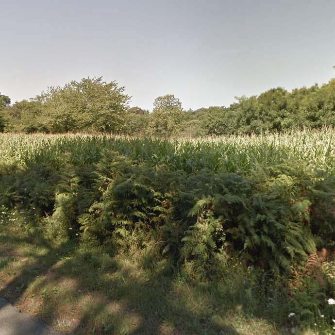 Gîte Voie Verte de Chalosse