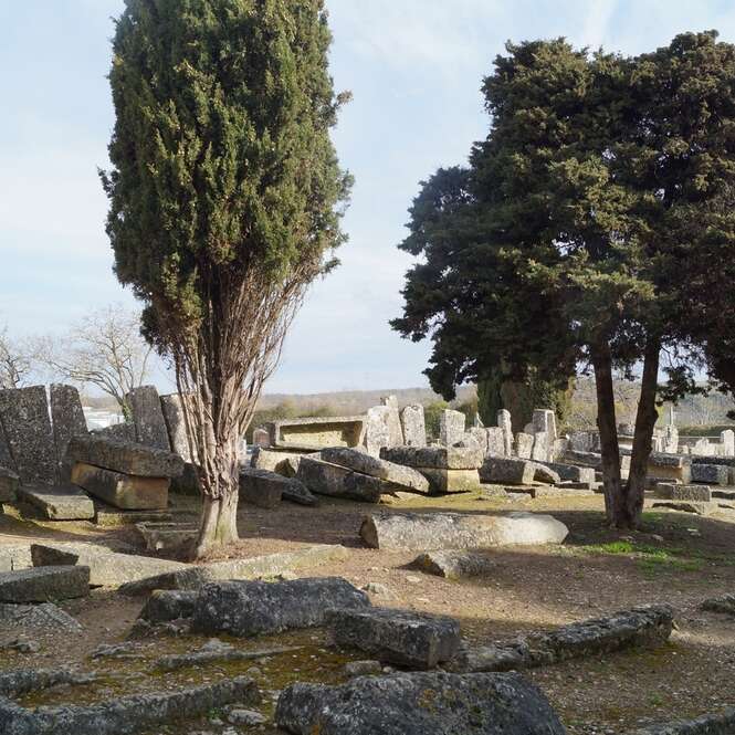 Nécropole Mérovingienne