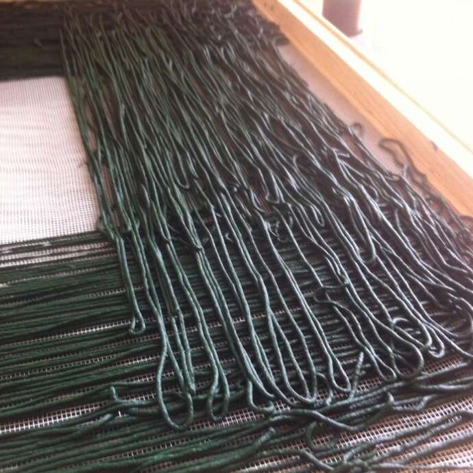 Spiruline de Campagne - Ferme Marquenry