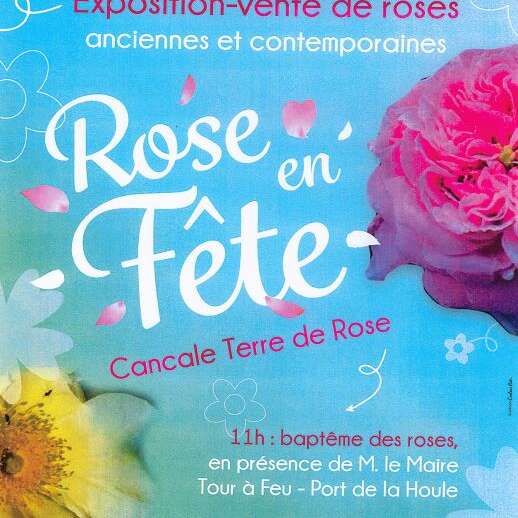 Rose en fête