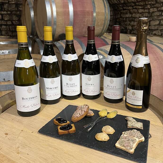 Fantastic Picnic : Visite & Dégustation "Accords Vins & Bouchées du Terroir"