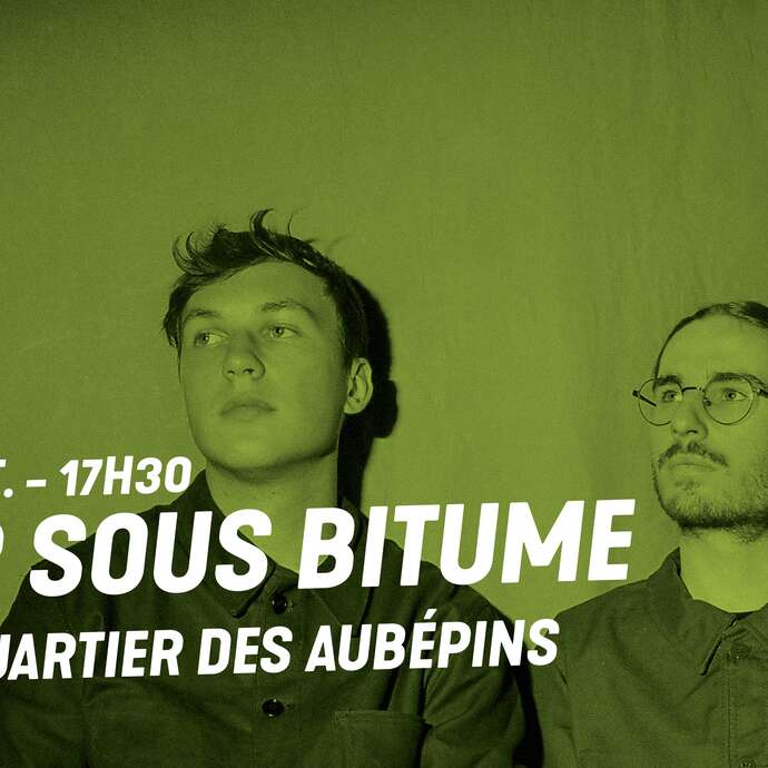 Fleur sous Bitume