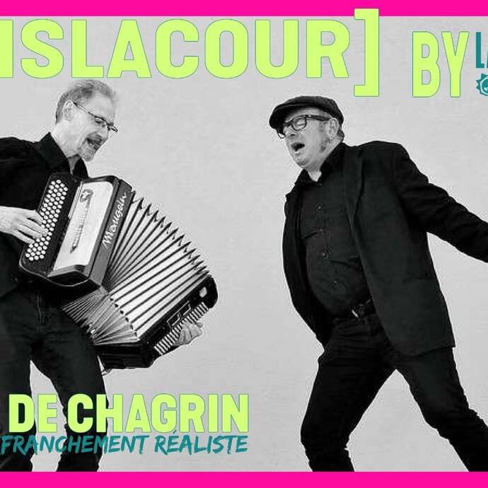 Dans la cour - peau de chagrin