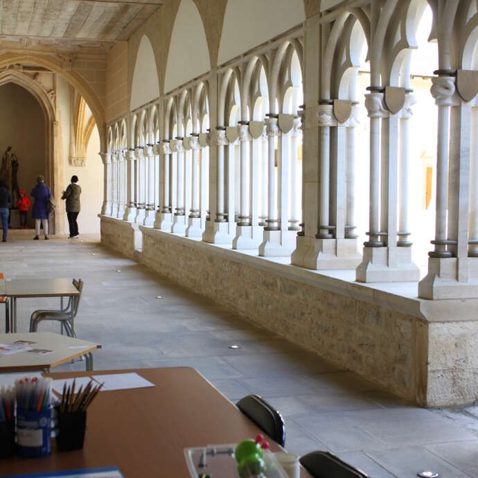 Activités familles - Bêtes curieuses