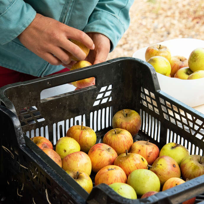 Marché des Producteurs