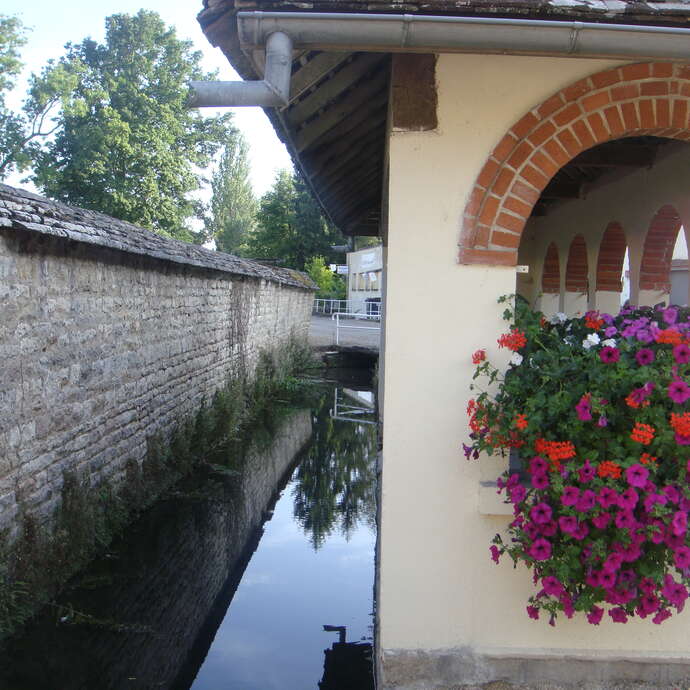 Visite des lavoirs de Fontaines