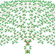Rencontre Réaliser un Arbre Généalogique