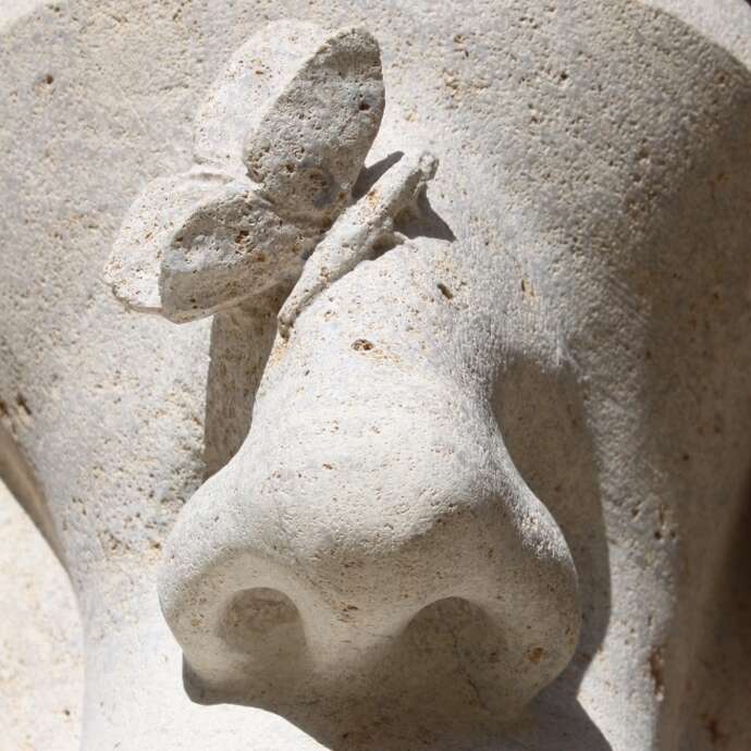 Activités Familles - Les cinq sens