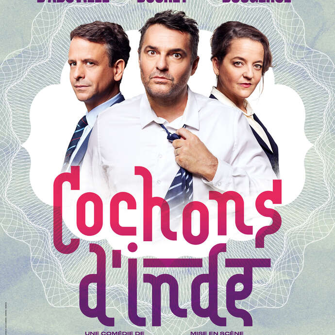 Cochon d'Inde