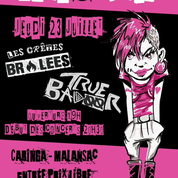 Concert punk