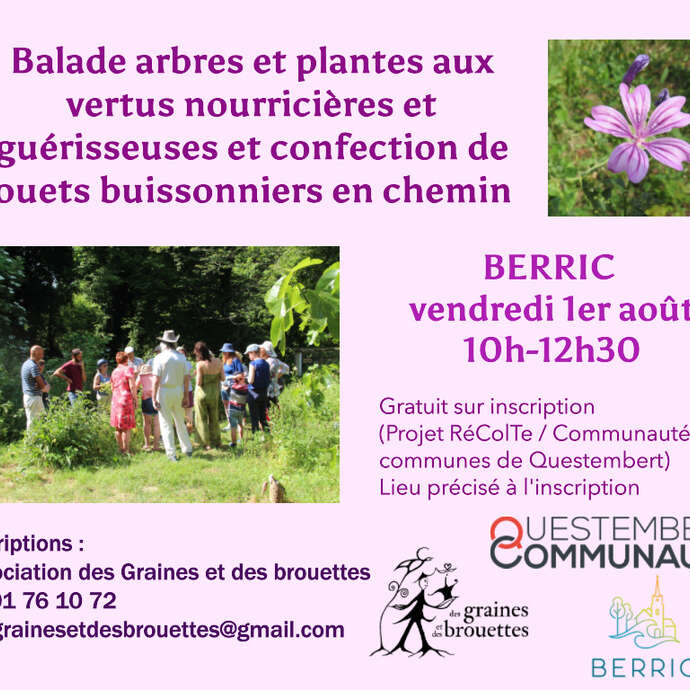 Balade atelier plantes comestibles