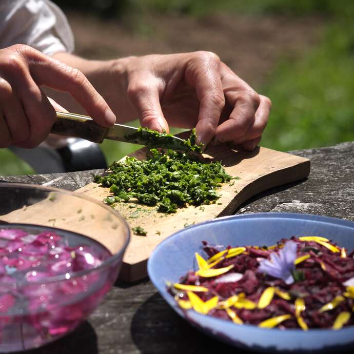 Atelier herboristerie de Printemps