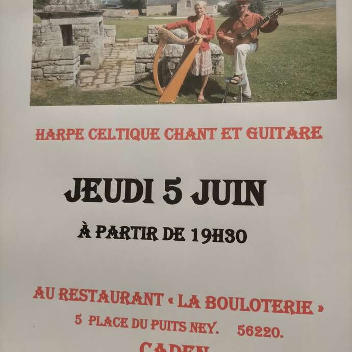 Animation musique harpe celtique