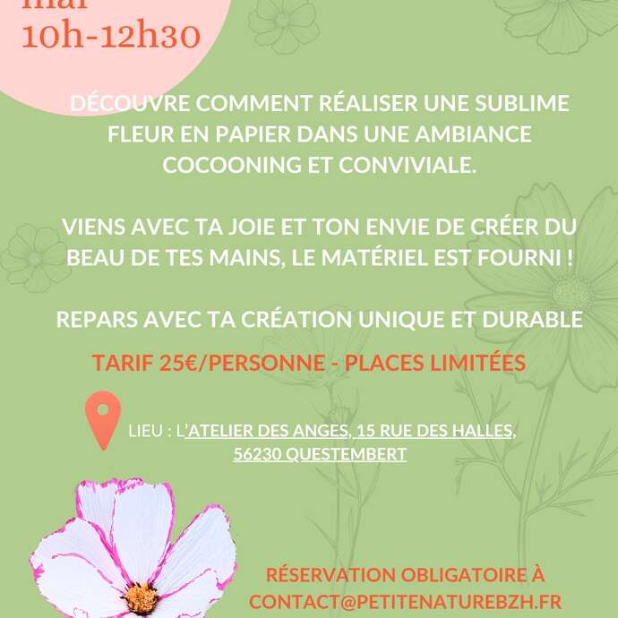 Atelier fleur en papier "petit bouquet de cosmos"
