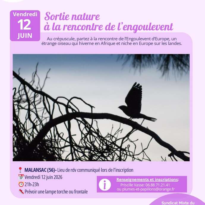 Sortie nature "A la rencontre de l'engoulevent"