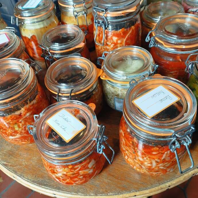 Atelier lacto-fermentation