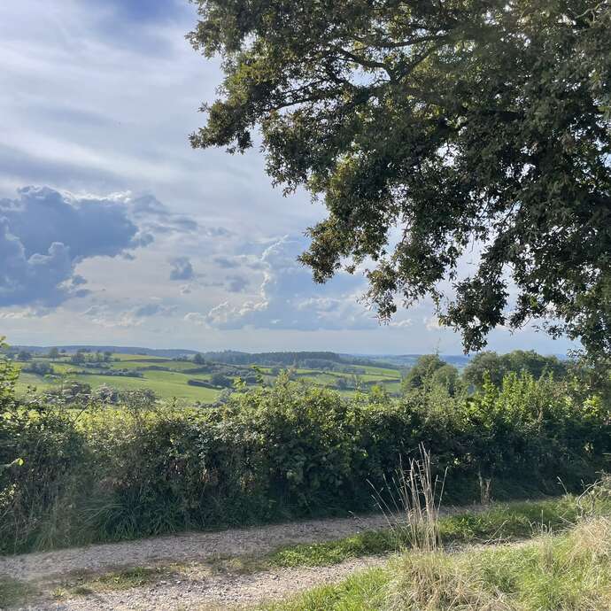 GRAND CIRCUIT (AMSV25)