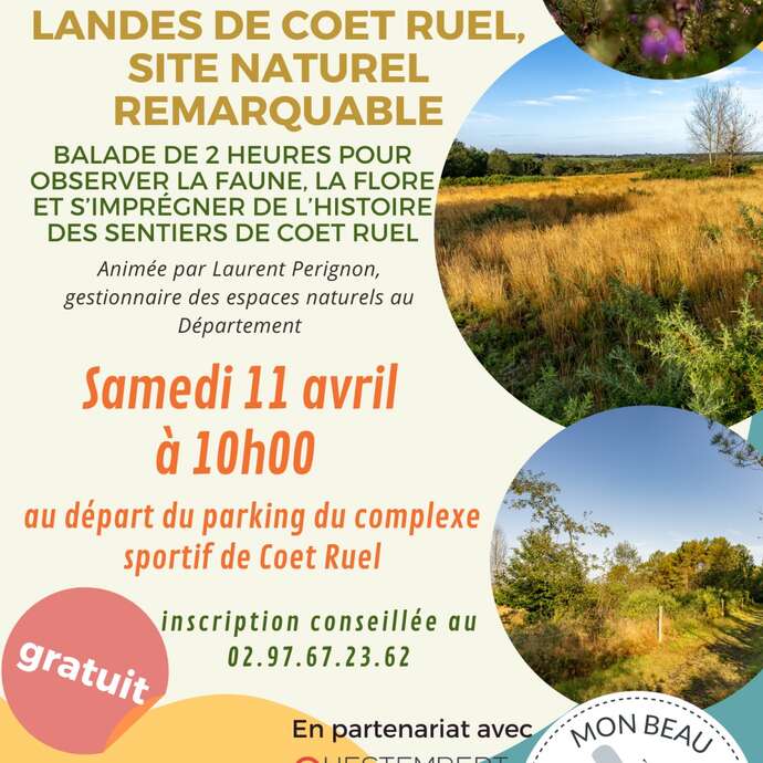 Balade à la découverte des landes de Coët-Ruel