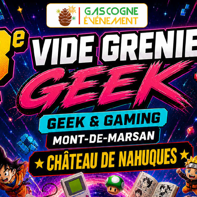 Vide Grenier Geek