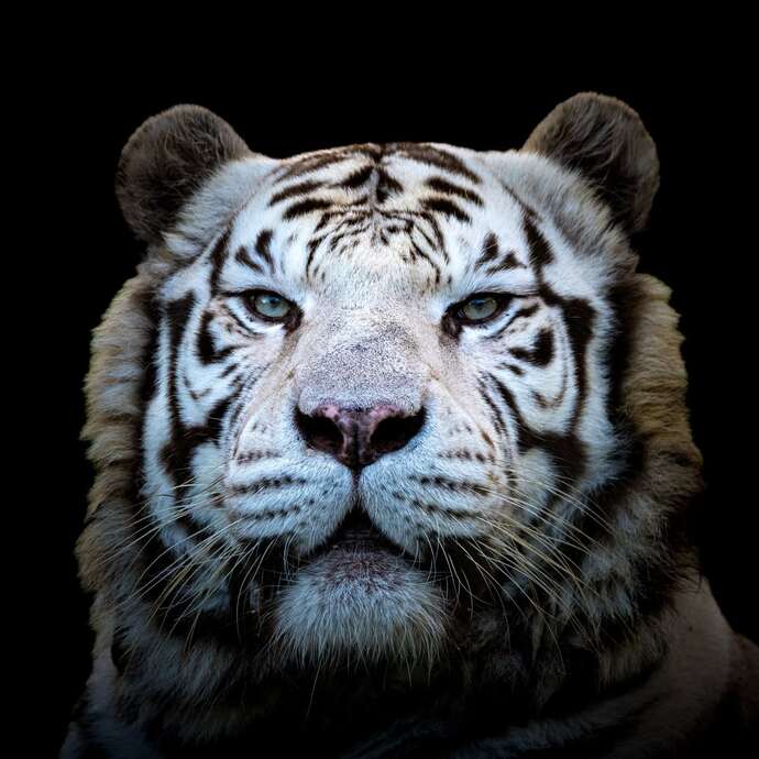 Zoo d'Asson