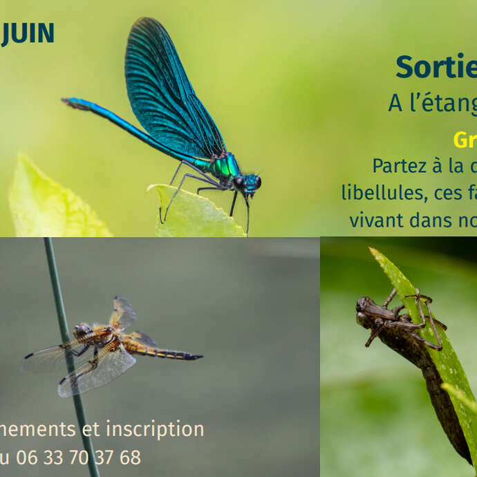Sortie nature