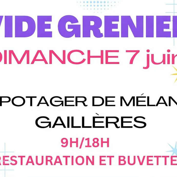 Vide grenier dans la nature