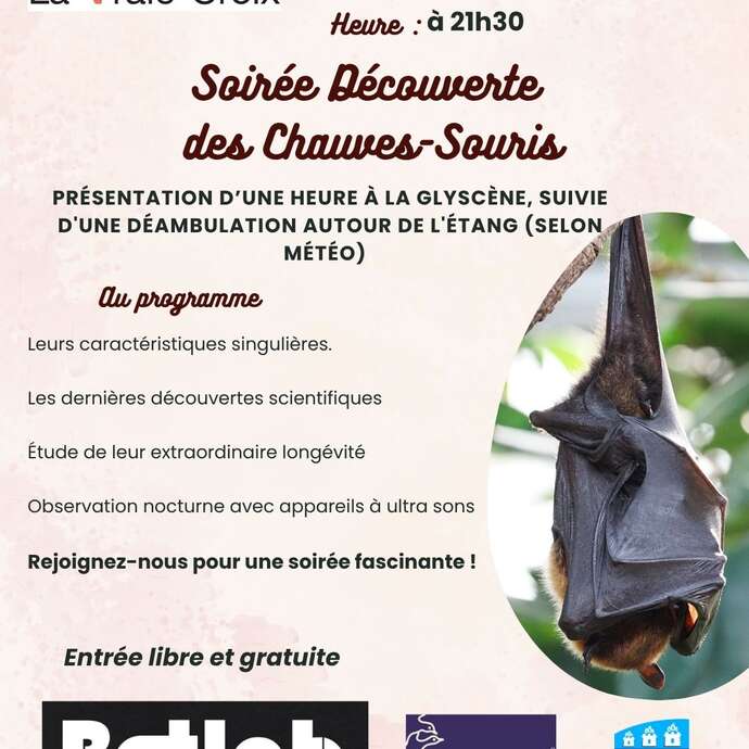 Soirée découverte des chauves-souris